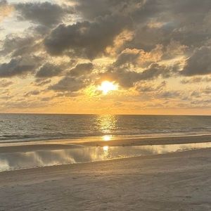 Meet your Posher, Betsy